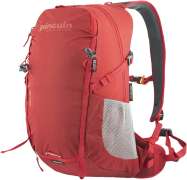 Рюкзак Pinguin Ride 19 2020 ц:red