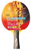 Ракетка настольного тенниса 08613A