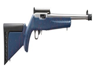 32039 Нарезной карабин Ruger K10/22-250TH-TS, America's 250th Anniversary  .22 LR
