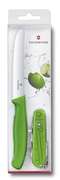 Набір Victorinox Color Twins green